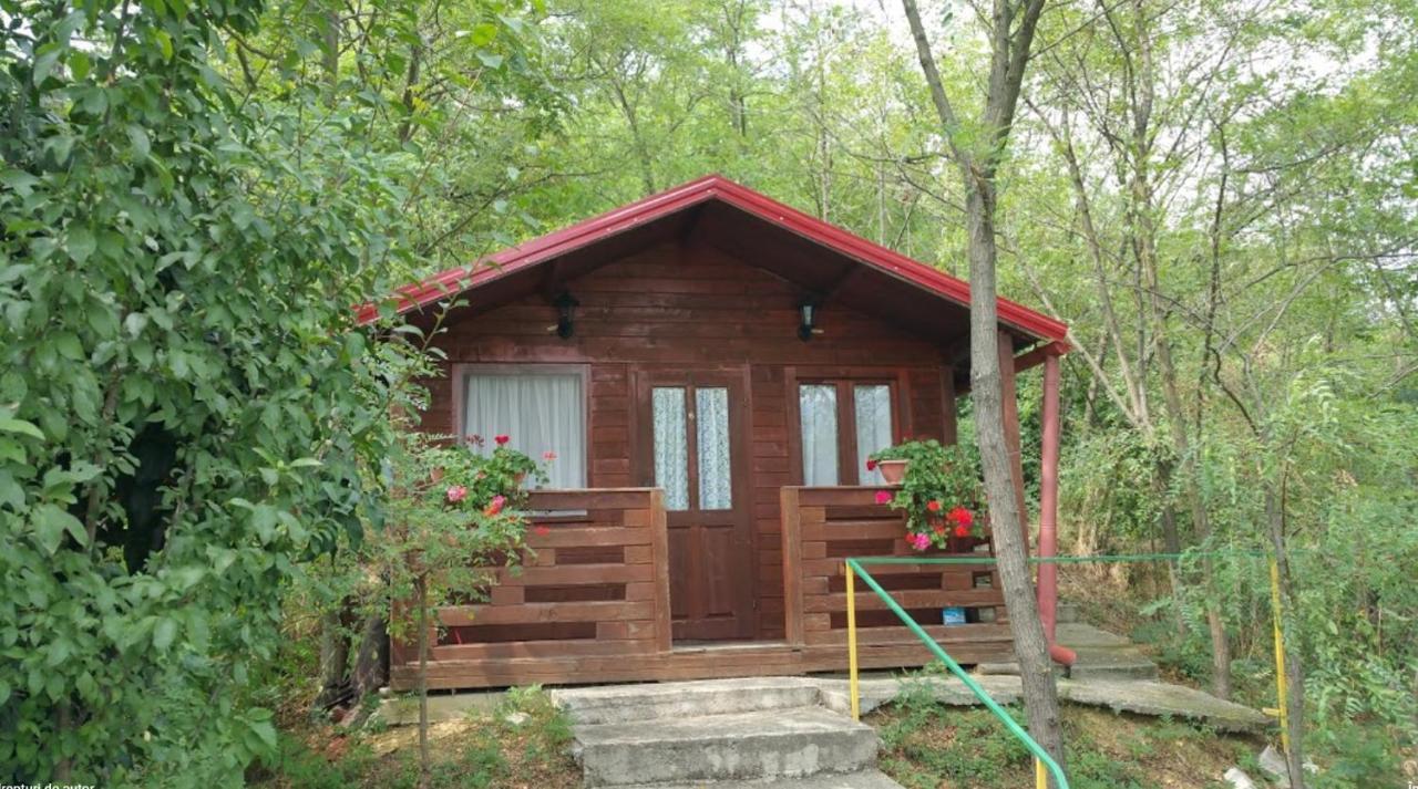 Gratca Nr 164 Orsova Βίλα Εξωτερικό φωτογραφία