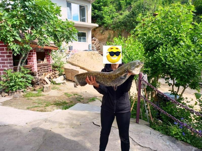 Gratca Nr 164 Orsova Βίλα Εξωτερικό φωτογραφία