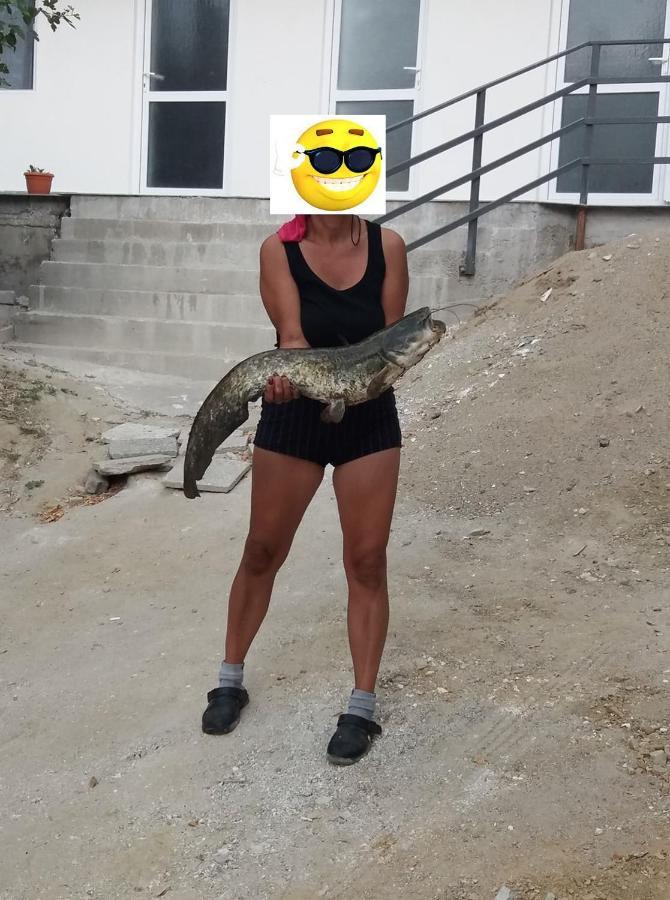 Gratca Nr 164 Orsova Βίλα Εξωτερικό φωτογραφία